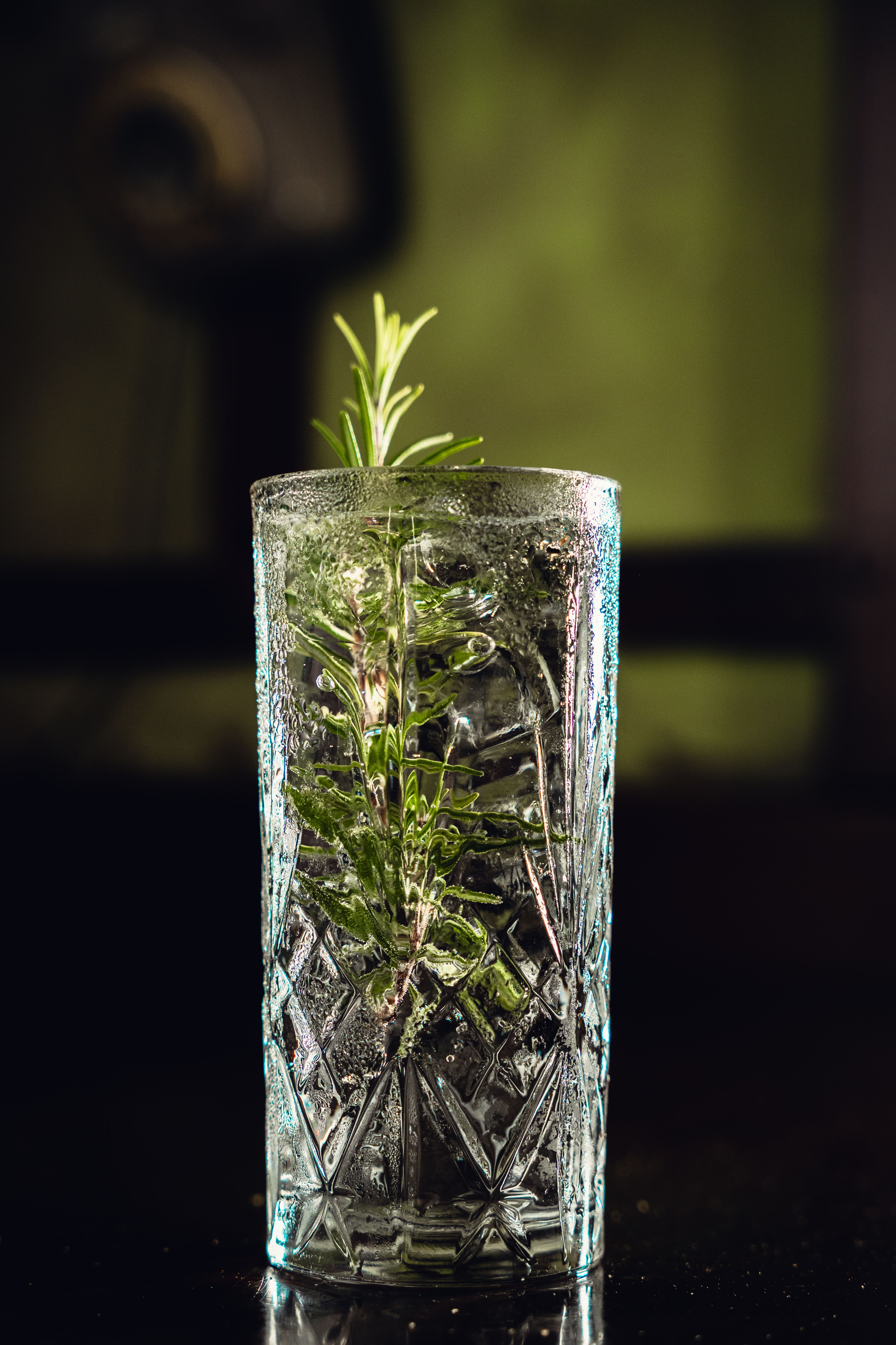 Sip Happens Cocktail